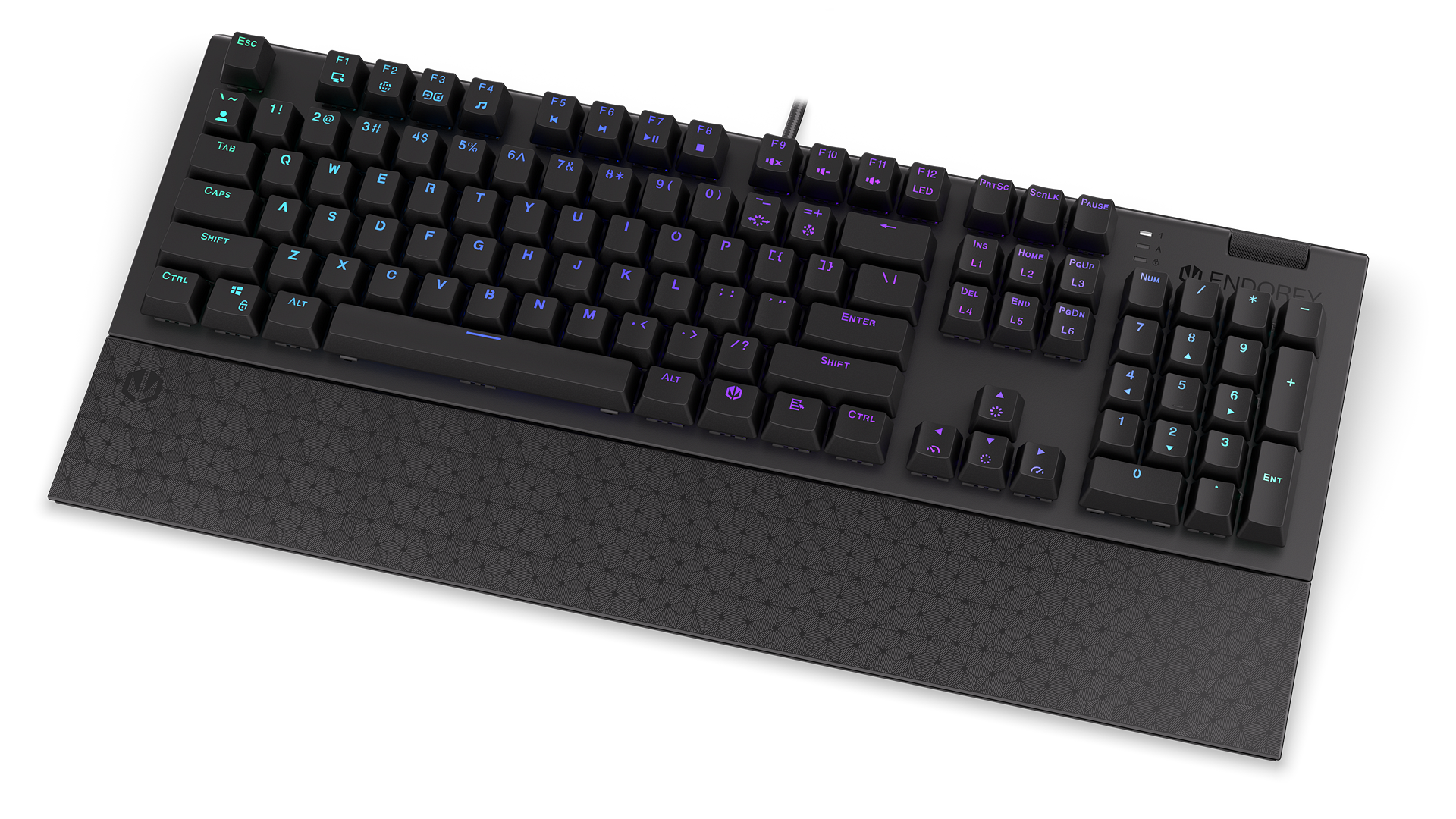 ENDORFY Omnis Blue EY5A028-Keyboards Front Right View Keys Black ARGB