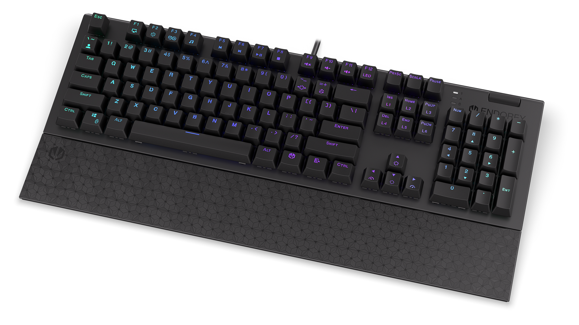 ENDORFY Omnis Brown EY5A029-Keyboards Front Right View Keys Black ARGB