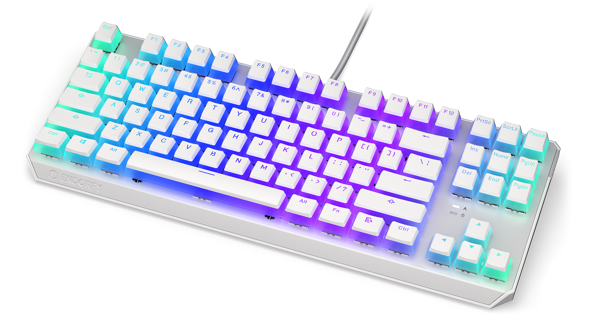 ENDORFY Thock TKL Pudding Onyx White Blue EY5A007-Keyboards Front Right View Buttons White ARGB