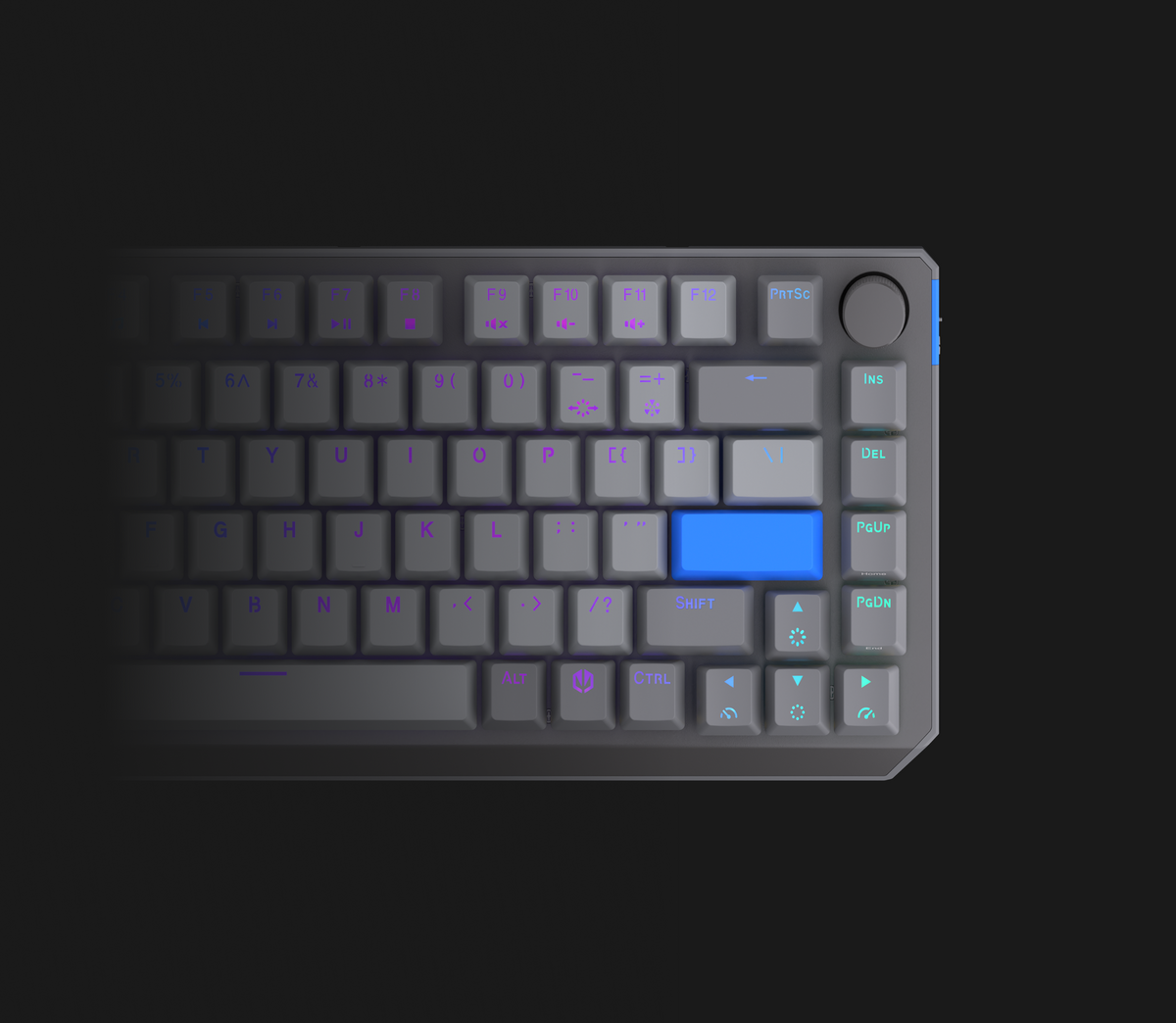 ENDORFY